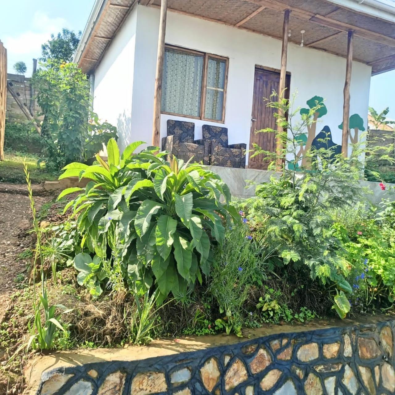 Ruhija Gorilla Guest House キバレ エクステリア 写真